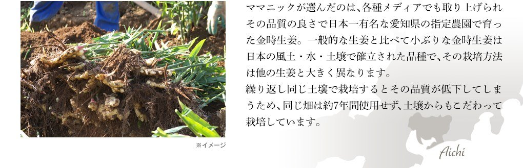 ママニックが選んだのは、各種メディアでも取り上げられその品質の良さで日本一有名な愛知県の指定農園で育った金時生姜。一般的な生姜と比べて小ぶりな金時生姜は日本の風土・水・土壌で確立された品種で、その栽培方法は他の生姜と大きく異なります。繰り返し同じ土壌で栽培するとその品質が低下してしまうため、同じ畑は約7年間使用せず、土壌からもこだわって栽培しています。